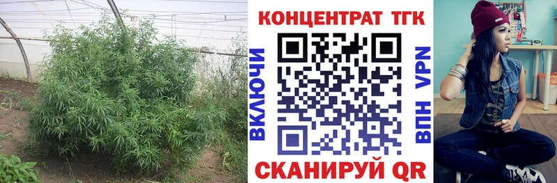 ТГК вейп  Казань 