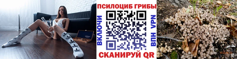 Галлюциногенные грибы Psilocybine cubensis  купить  цена  Казань 
